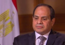السيسي يؤكد خلال لقائه ميركل ضرورة تكثيف الجهد الدولي لمواجهة الدول التي تمول الإرهاب
