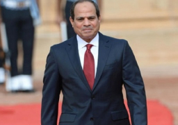 السيسي يبحث جهود الإصلاح في مصر مع شخصيات أمريكية بارزة