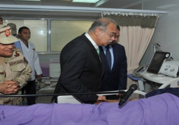 بالفيديو .. إسماعيل وصبحى يتفقدان مصابى قوات إنفاذ القانون بعدد من المستشفيات العسكرية