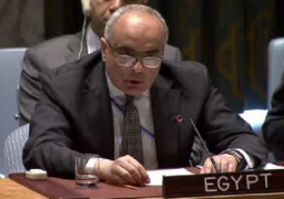 بالفيديو .. مصر تدعو موسكو وواشنطن لتسوية سياسية فى سوريا