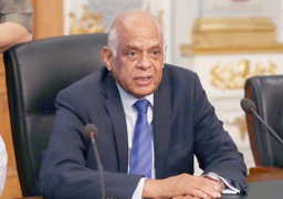 رئيس النواب: علاوة غير المخاطبين بالخدمة المدنية بأثر رجعي