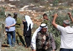 مستوطنون يفتحون المياه العادمة على أراض زراعية فلسطينية