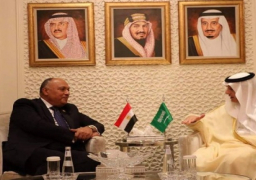 وزير الخارجية يجري محادثات سياسية مع نظيره السعودي في الرياض
