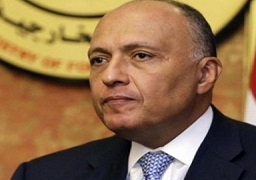 وزير الخارجية يبحث القضايا العربية مع وفد من البرلمان العربي