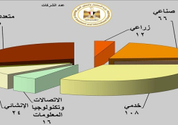 “الاستثمار”: تأسيس 325 شركة في اسبوع