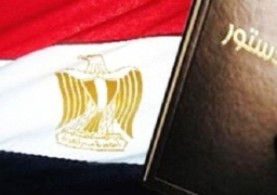 “المصرية لحماية الدستور” تطالب بصياغة قانون التأمين الصحي