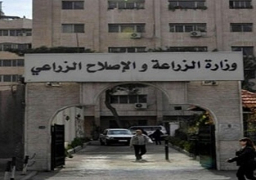 88 مليون جنيه حصيلة بيع 43 قطعة من أراضي بئر العبد
