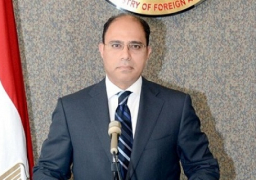 مصر تؤكد احترامها الكامل لسيادة السودان