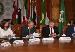 أبو الغيط يؤكد ضرورة مخاطبة الإعلام العربي أولويات وقضايا المرأة العربية