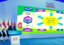 بالفيديو … وزير الزراعة .. الزراعة تستحدث 3 أصناف جديدة من القمح