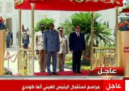 السيسي يجري مباحثات مع نظيره الغيني ألفا كوندي