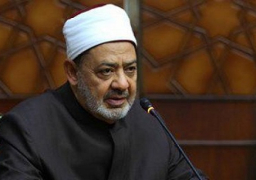 الطيب يلقى خطابا حول التعايش السلمي ببرلين