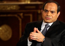 بدء المباحثات بين الرئيس السيسى والمستشار النمساوى