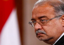 رئيس الوزراء يبحث مجالات الاستثمار مع شركة دانة غاز الأردنية