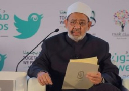 شيخ الأزهر: الإرهاب لا دين له.. ولابد من توحيد جهود مواجهة خطاب الكراهية