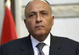 مصر تدين الاعتداء الغاشم في براك الشاطئ بجنوب ليبيا