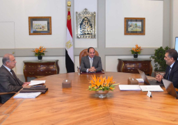 السيسى يجتمع بوزير قطاع الأعمال ويوجه بإعداد برنامج متكامل لتطوير المحالج