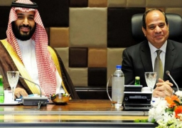 السيسي يهنئ الأمير محمد بن سلمان بن عبد العزيز بمناسبة صدور الأمر الملكي بتعينه وليا للعهد