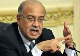 إسماعيل: 30 يونيو.. يوم استردت فيه مصر كرامتها