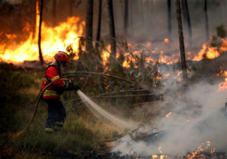 ارتفاع حصيلة ضحايا حرائق الغابات بالبرتغال الى 62 قتيل