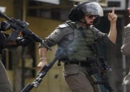 الأمم المتحدة: إسرائيل هدمت 3 مبان وقطعت 27 شجرة زيتون في الضفة الغربية المحتلة