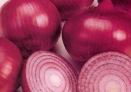 دراسة تؤكد: تناول البصل الأحمر يدمر الأورام
