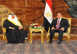 الرئاسة: السيسي وحمد بحثا تعزيز التعاون وقطع العلاقات مع قطر