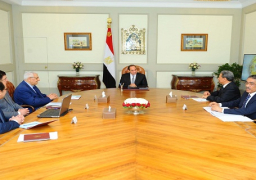 السيسي يؤكد أهمية دور الإعلام في تشكيل وعي المواطن والارتقاء بالذوق العام