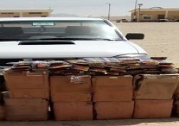 القبض على 4 تكفيريين وتدمير 2 عربة دفع رباعى بشمال سيناء