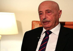 ايطاليا والاتحاد الأفريقي يؤكدان استعدادهما لدعم ليبيا