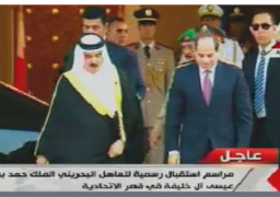 بالفيديو.. بدء المباحثات بين الرئيس السيسي وعاهل البحرين