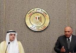 بالفيديو.. شكري والجبير يؤكدان أهمية العلاقات التاريخية والمتينة بين مصر والسعودية