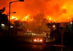 ارتفاع ضحايا حرائق الغابات بالبرتغال لـ43 قتيلًا