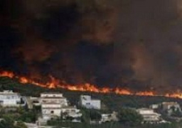 إجلاء 1800 شخص بسبب حرائق الغابات بجنوب أسبانيا