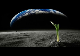 فلكي يتوقع العثور على حياة خارج الأرض قريبا