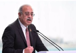 رئيس الوزراء: تطبيق زيادة أسعار الكهرباء على فواتير أغسطس