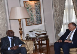 شكرى يلتقى الممثل السامي للاتحاد الأفريقي لصندوق السلام