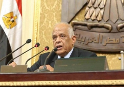 عبد العال : قرار الدستورية العليا يؤكد سلطة البرلمان فى إقرار اتفاقية تعيين الحدود مع السعودية