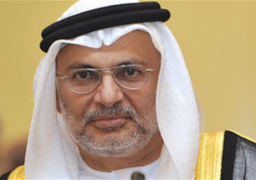 قرقاش يؤكد أن مقاطعة قطر جاء نتيجة لتراكم سياساتها في المنطقة