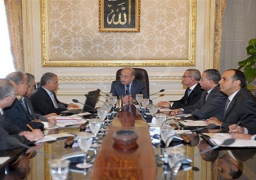 مجلس الوزراء يناقش اوضاع الجالية المصرية في قطر