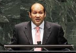 مصر تؤكد محورية البعد التنموي لمواجهة تحديات الهجرة