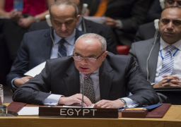 مصر: لا يوجد “تطرف إسلامي” بل تنظيمات تتخذ الدين ذريعة للإرهاب