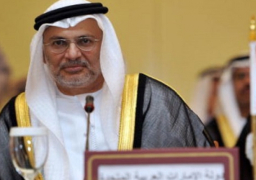 وزير الخارجية الاماراتى : قطر لم تحترم طريقة عمل الوسيط بعد تسريب المطالب