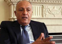وزير الخارجية يبحث قضايا القارة الإفريقية مع نظيره النيجيري