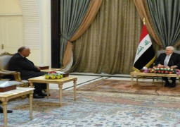 شكري يلتقي معصوم ويؤكد دعم مصر لوحدة العراق
