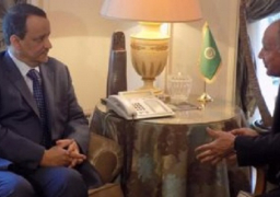 أبو الغيط يؤكد المواقف الثابتة للجامعة العربية إزاء الأزمة اليمنية