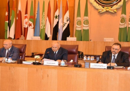 أبو الغيط يؤكد على ثوابت موقف الجامعة العربية من الأزمة السورية