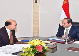 بالصور.. الرئيس يستعرض آخر التطورات بالمنطقة الاقتصادية لقناة السويس