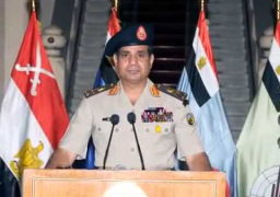 بالفيديو .. زى النهاردة .. الذكرى الرابعة لعزل مرسي وإنقاذ الدولة