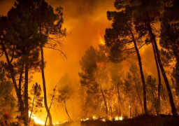 اندلاع حريق غابات ضخم في جنوب فرنسا